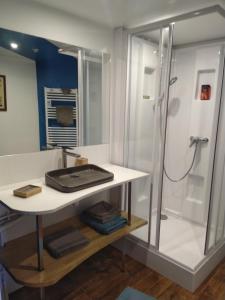 a bathroom with a sink and a shower at Les charmantes pierres percées in Ploumilliau
