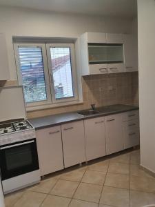 Kuchyň nebo kuchyňský kout v ubytování Villa Brasina