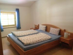 Imagine din galeria proprietății Appartement Hammerschmidt în Maishofen
