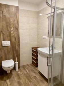 Koupelna v ubytování Dream apartman