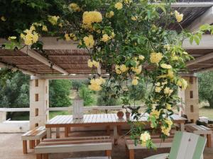 Vonkajšia záhrada v ubytovaní B&B Giovannarolla Green House