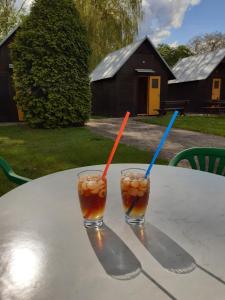 two glasses of iced tea sitting on a table at Penzion a Chatový Camp Havraníky u NP Podyjí in Havraníky