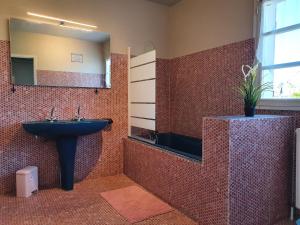a bathroom with a sink and a mirror and a tub at LA MAISON DU MUGUET - Accueil Chevaux - Horse Friendly in Liart +20 photos