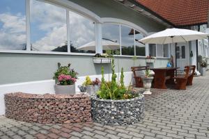 Zahrada ubytování Gästehaus Sabina- Frühstückspension, Bed & Breakfest