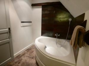 a bathroom with a white sink in a room at Auberge du Lac in Mandailles