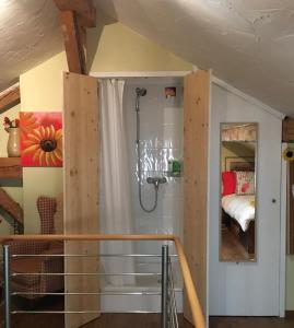 een badkamer met een douche in de kamer bij Chalet Ingas in Troistorrents