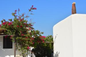 Foto sihtkohas Íos asuva majutusasutuse Petra Holiday Village galeriist