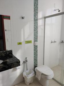 uma casa de banho com um WC e uma cabina de duche em vidro. em Cemarim Hotel em Catalão