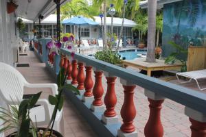 Бассейн в Coral Reef Guesthouse или поблизости