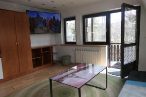 Televízia a/alebo spoločenská miestnosť v ubytovaní Apartamenty u Łukasza