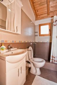 a bathroom with a sink and a toilet at Accommodation "MONTELAGO"- Virpazar,Skadar Lake in Virpazar