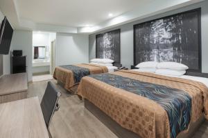 Postel nebo postele na pokoji v ubytování Super 8 by Wyndham Humble Houston Fallcreek