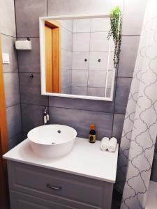 een badkamer met een wastafel en een spiegel bij Lora Apartman in Nyíregyháza