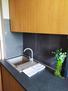 a kitchen sink with a faucet and two plants at Lora Apartman in Nyíregyháza