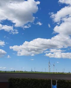 a group of wind turbines in a field with a cloudy sky at Lille hygge in Leck