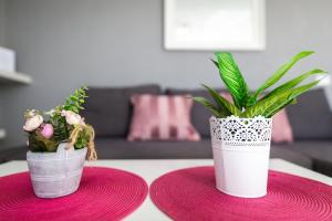 A seating area at Nuevo Loft Vistas