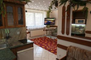 Televízia a/alebo spoločenská miestnosť v ubytovaní Apartamenty u Łukasza
