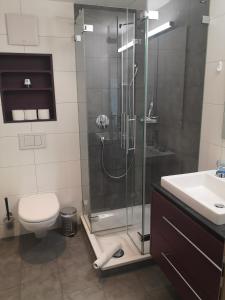 Un baño con ducha, inodoro y lavabo. en Apartment Gornerhaus, en Grindelwald