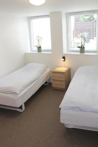 two beds in a room with two windows at Amalie Bed and Breakfast & Apartments in Odense