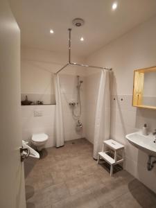 a bathroom with a shower and a toilet and a sink at Ferienwohnung Heidjerleev in Eldingen