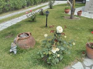 A garden outside Casa memories