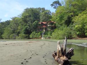 um toco de árvore na areia em frente a uma casa em Morrillo Beach Eco Resort em Morrillo