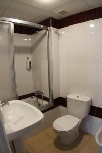a bathroom with a toilet and a sink and a shower at Cascadas de Puente Ra in Villoslada de Cameros