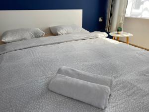 ein großes Bett mit zwei Kissen darüber in der Unterkunft Apartamenty Stare Miasto in Bydgoszcz