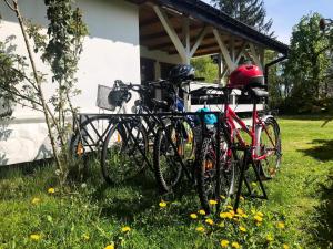 Jazda na bicykli v okolí ubytovania Kalinka - chata na końcu świata