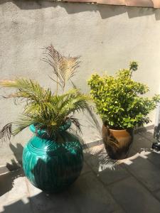 Um jardim em Les Chambres de l'Abbaye