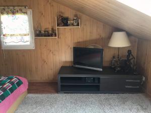 Televízia a/alebo spoločenská miestnosť v ubytovaní Kalinka - chata na końcu świata