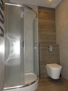 a bathroom with a shower and a toilet at Kwatery prywatne Lotnicza in Bielsko-Biała