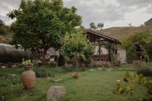 una casa con un patio con un jarrón en el césped en Rancho i Vancho na Kata, en Omorani