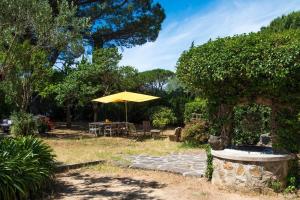 einen gelben Regenschirm in einem Garten mit einem Tisch in der Unterkunft Suite Tropézienne in Saint-Tropez