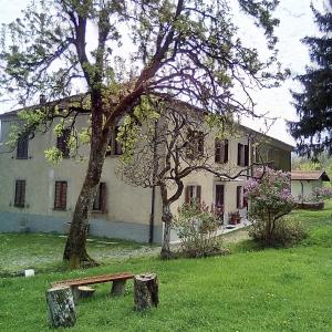 uma casa com uma árvore e um banco à frente dela em Casa del Gigi BnB em Albareto