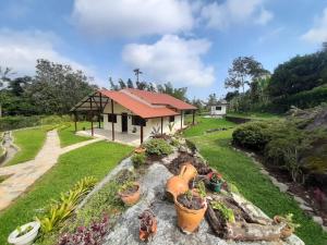 a house with a garden with potted plants at Finca Villa Elenita in Sasaima
