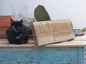 ヴィラ・ド・ビスポにあるSalmouraの木箱の横のテーブルに座る黒猫