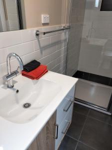 a bathroom with a sink and a shower at Murray Bridge Tourist Park in Murray Bridge
