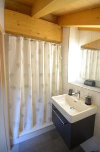 ein Bad mit einem Waschbecken und einem Duschvorhang in der Unterkunft Luxury Penthouse Apartment in Lauterbrunnen