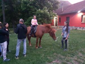 a girl is sitting on a horse in a yard at Apartmani Gmitrovic in Rtanj
