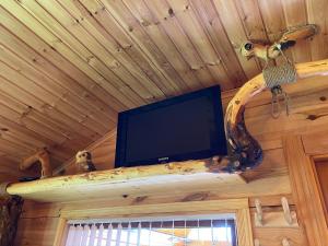 a tv in a log cabin with a tv on a branch at Guest House Melon in Jūrmala