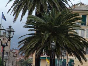Fotografia z galérie ubytovania MAREBLU Rapallo Mare v destinácii Rapallo