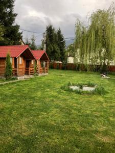 uma cabana de madeira num quintal com um relvado verde em Pensiunea Ioana em Borşa