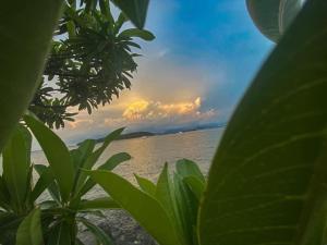 a view of the ocean from behind a plant at Rubtawan Sichang Resort in Ko Si Chang