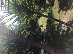Φωτογραφία από το άλμπουμ του Villa Catalane σε Bompas +1 φωτογραφίες