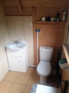 a small bathroom with a toilet and a sink at morska chata in Lubiatowo +18 photos