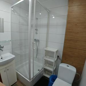 Ένα μπάνιο στο Zajazd Jurajski +46 φωτογραφίες