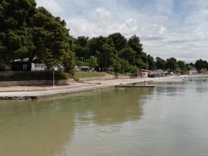 ein Wasserkörper mit Bäumen im Hintergrund in der Unterkunft Villa „Drei Palmen“ in Sveti Filip i Jakov