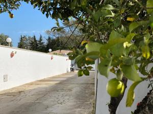 Fotografie z fotogalerie ubytování Vivienda Rural Atlántico Sur & Familias v destinaci Conil de la Frontera