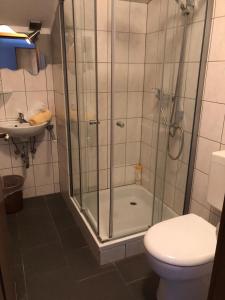 een badkamer met een douche, een toilet en een wastafel bij Landgasthof-Porta in Üllershausen